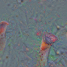 n13040303